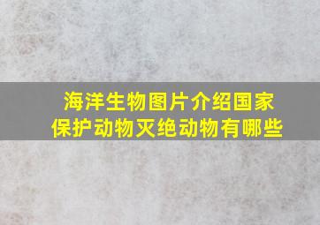 海洋生物图片介绍国家保护动物灭绝动物有哪些