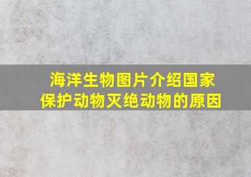 海洋生物图片介绍国家保护动物灭绝动物的原因