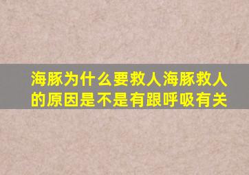 海豚为什么要救人海豚救人的原因是不是有跟呼吸有关