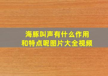 海豚叫声有什么作用和特点呢图片大全视频