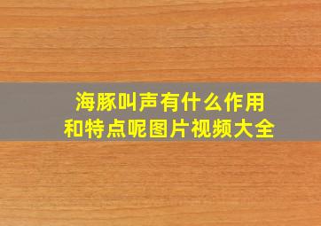 海豚叫声有什么作用和特点呢图片视频大全