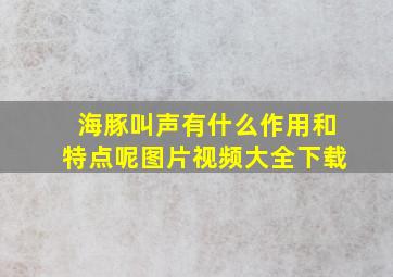 海豚叫声有什么作用和特点呢图片视频大全下载