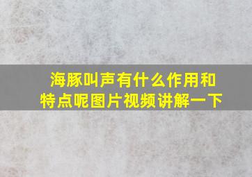 海豚叫声有什么作用和特点呢图片视频讲解一下