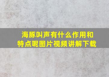 海豚叫声有什么作用和特点呢图片视频讲解下载