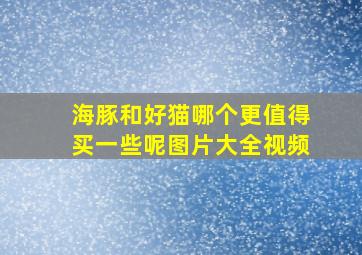 海豚和好猫哪个更值得买一些呢图片大全视频