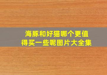 海豚和好猫哪个更值得买一些呢图片大全集