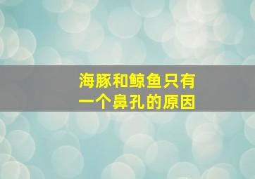 海豚和鲸鱼只有一个鼻孔的原因