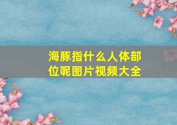 海豚指什么人体部位呢图片视频大全