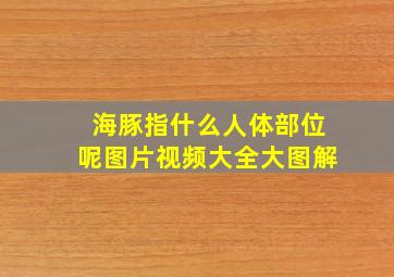 海豚指什么人体部位呢图片视频大全大图解