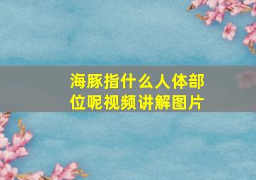 海豚指什么人体部位呢视频讲解图片