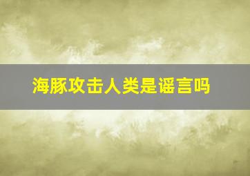 海豚攻击人类是谣言吗