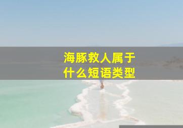 海豚救人属于什么短语类型