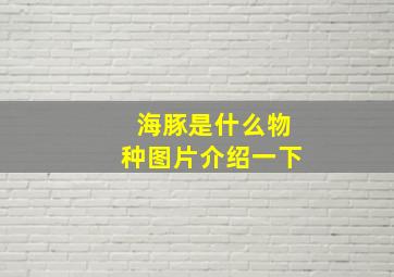 海豚是什么物种图片介绍一下