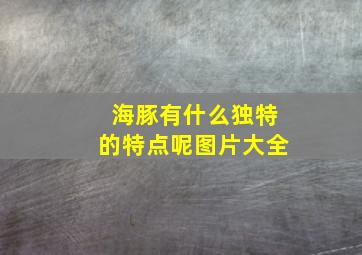 海豚有什么独特的特点呢图片大全