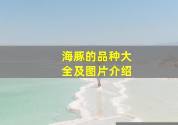 海豚的品种大全及图片介绍