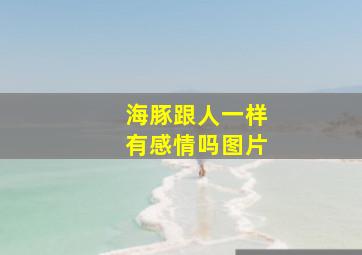 海豚跟人一样有感情吗图片