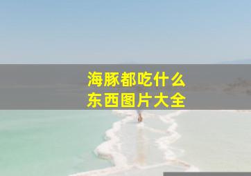 海豚都吃什么东西图片大全