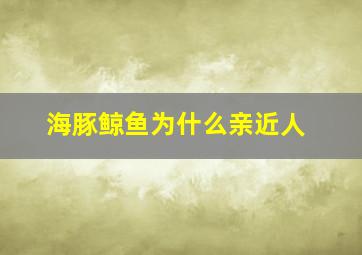 海豚鲸鱼为什么亲近人