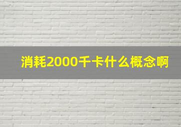 消耗2000千卡什么概念啊