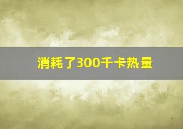 消耗了300千卡热量