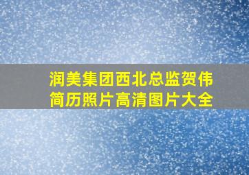 润美集团西北总监贺伟简历照片高清图片大全