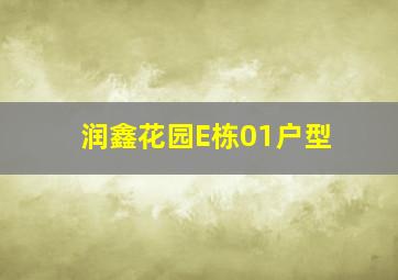 润鑫花园E栋01户型