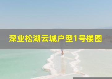 深业松湖云城户型1号楼图