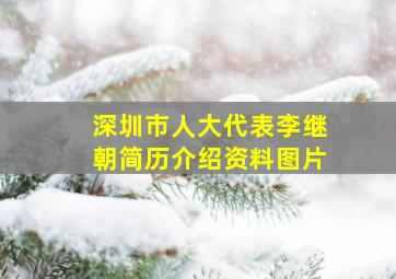 深圳市人大代表李继朝简历介绍资料图片