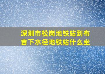 深圳市松岗地铁站到布吉下水径地铁站什么坐