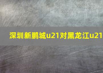 深圳新鹏城u21对黑龙江u21