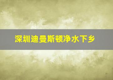 深圳迪曼斯顿净水下乡