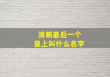 清朝最后一个皇上叫什么名字