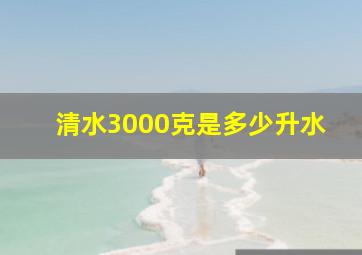 清水3000克是多少升水