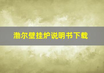 渤尔壁挂炉说明书下载