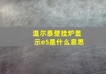 温尔泰壁挂炉显示e5是什么意思