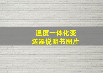 温度一体化变送器说明书图片