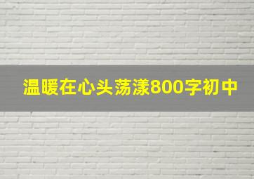 温暖在心头荡漾800字初中