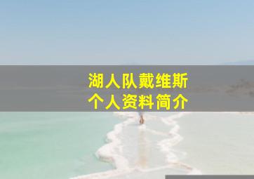 湖人队戴维斯个人资料简介