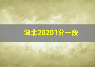 湖北20201分一段