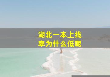 湖北一本上线率为什么低呢