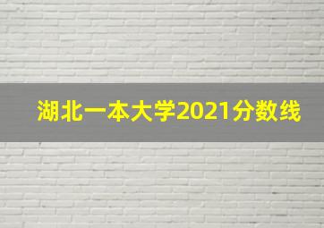 湖北一本大学2021分数线