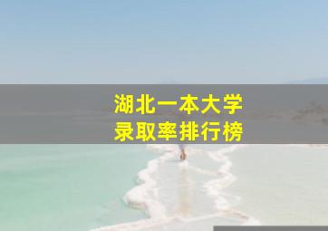 湖北一本大学录取率排行榜