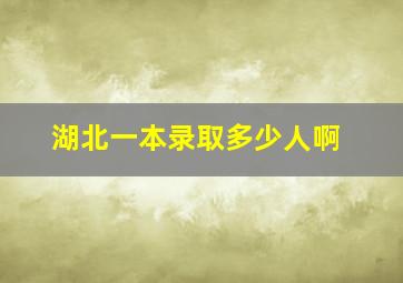 湖北一本录取多少人啊