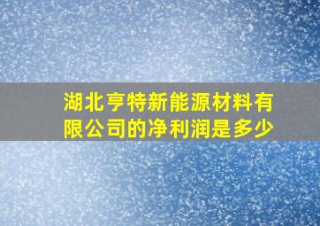 湖北亨特新能源材料有限公司的净利润是多少