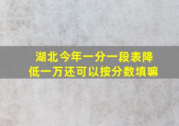 湖北今年一分一段表降低一万还可以按分数填嘛