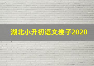 湖北小升初语文卷子2020