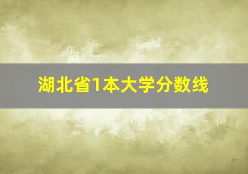 湖北省1本大学分数线