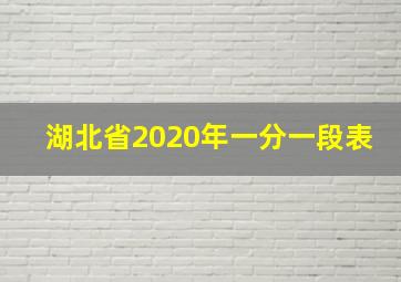 湖北省2020年一分一段表