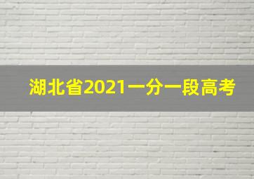 湖北省2021一分一段高考