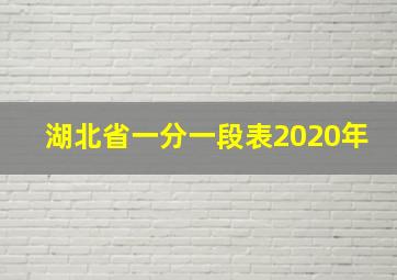 湖北省一分一段表2020年